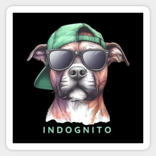 Pit Bull Terrier Indognito Sticker